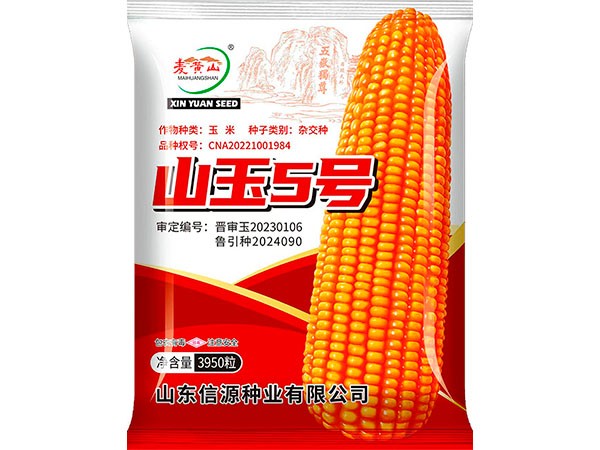 山玉5号