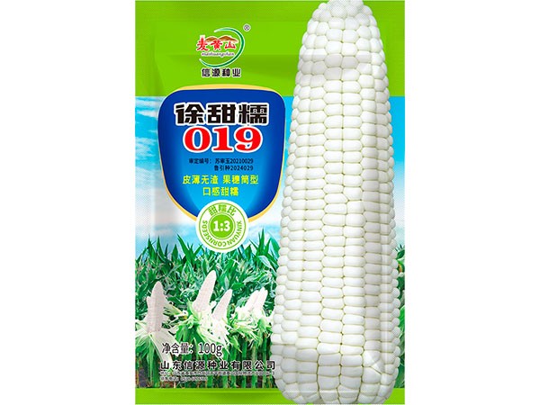 徐甜糯019